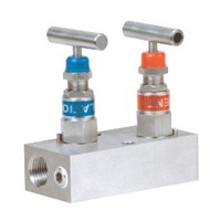 2 PTM 5 MANIFOLD